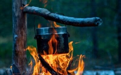 The Five Core Skills of Bushcraft