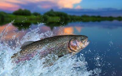 Top 5 Mistakes New Anglers Make