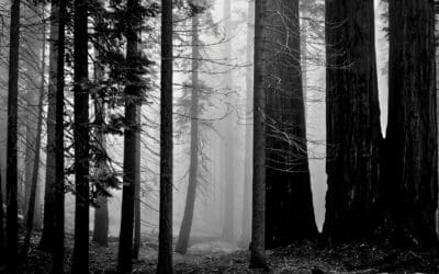 Building Your Mental Survival Kit: The Psychology of Staying Alive