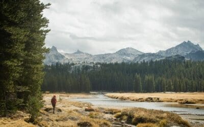 How to Read a River: Finding the Best Casting Spots Fast